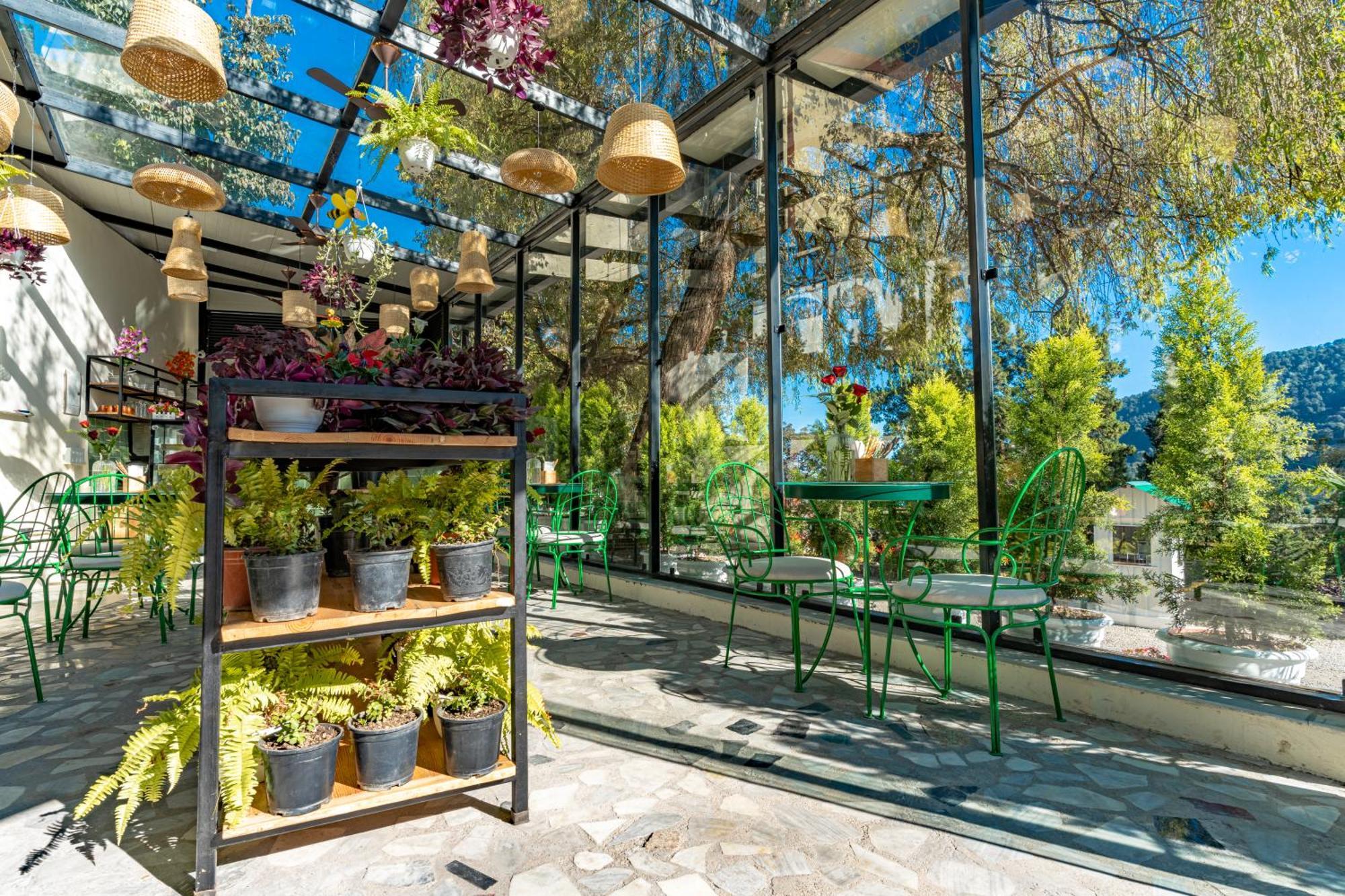 Shervani Hilltop Resort Нейнитал Екстериор снимка