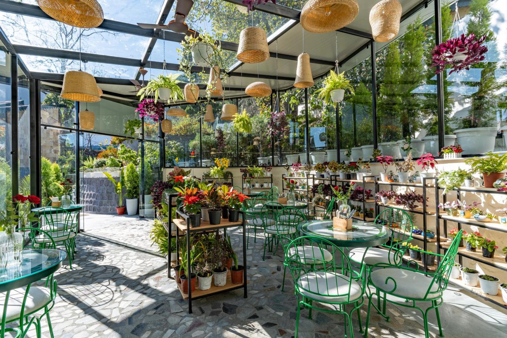 Shervani Hilltop Resort Нейнитал Екстериор снимка
